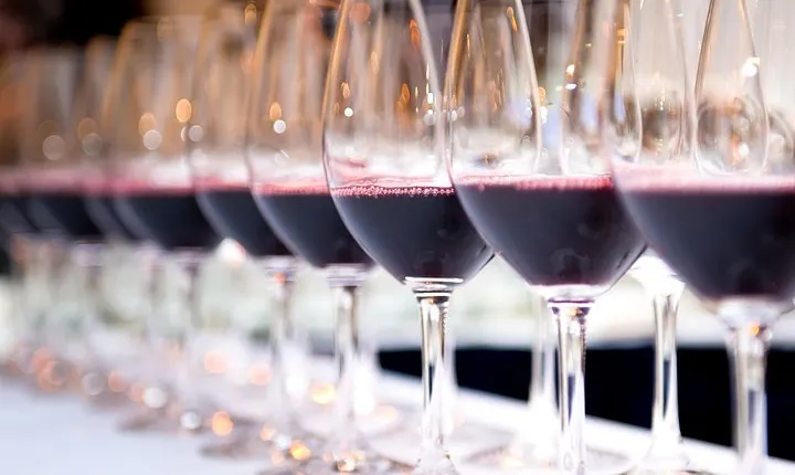 PRIVATE TOUR WINE TASTING QUINTA BACALHÔA & JOSÉ MARIA FONSECA (Setubal Region)