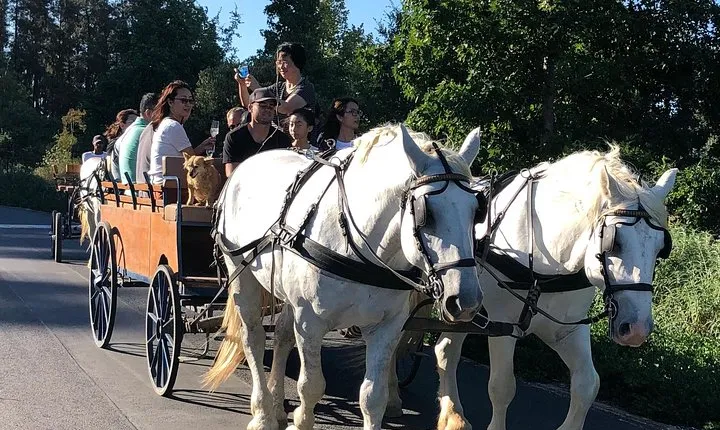 1h – Carriage Trail