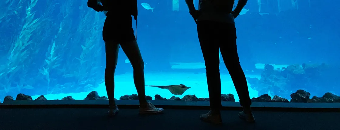 Poema del Mar Aquarium and bus transfer package