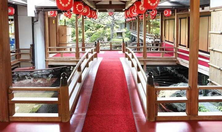 Elegant Geiko and Maiko Dance Tickets