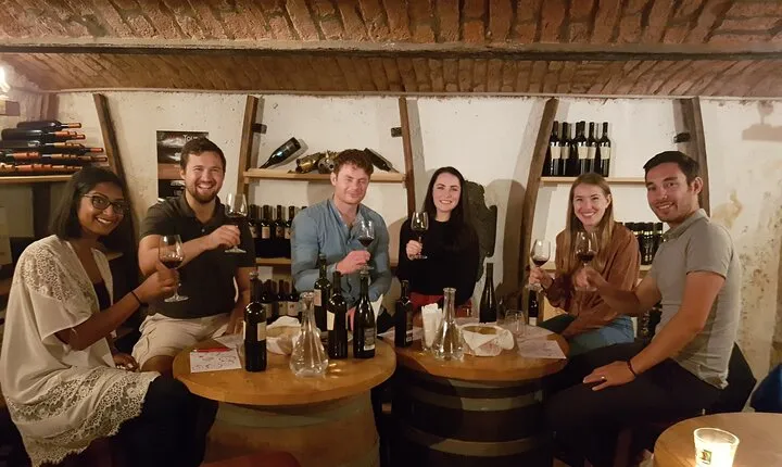 Wine Tasting Experience in Bled
