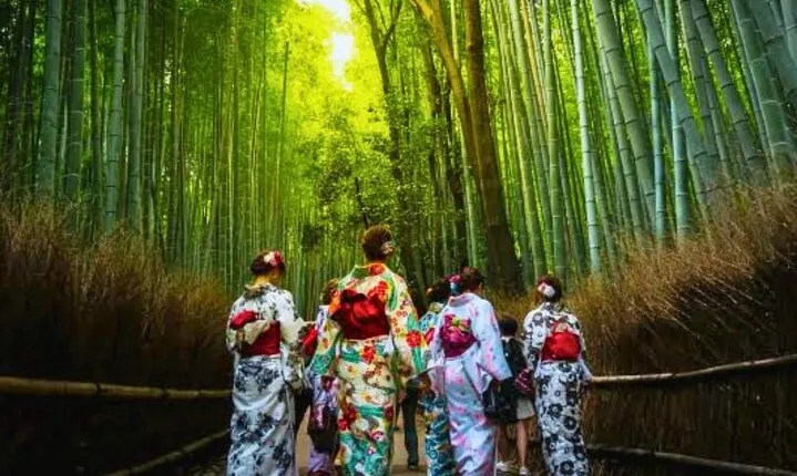 Day Trip to Arashiyama Nara Yasaka Shrine Hanamikoji from Osaka
