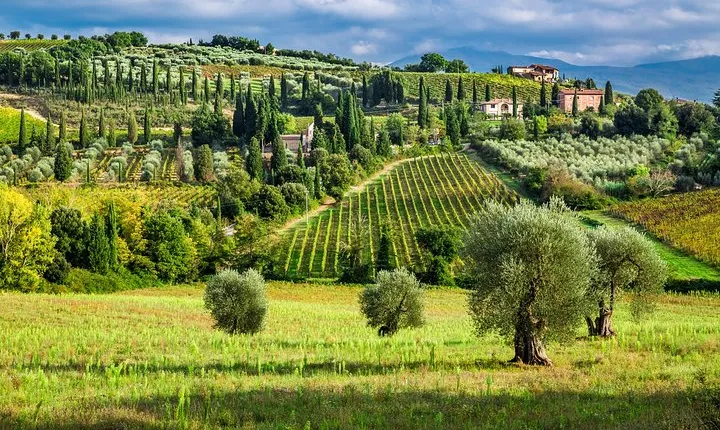 Montecarlo and Wine Tasting from Lucca Private Tour