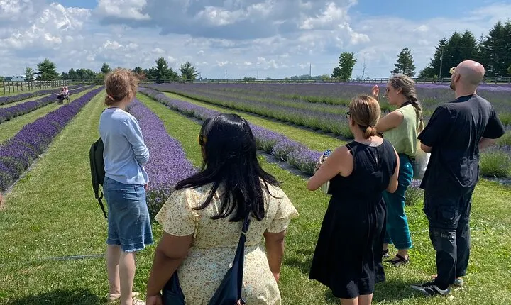 Scenic Lavender Farm and Hidden Gems Tour with Lunch from Toronto