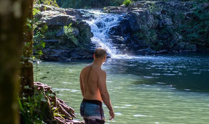 Full-Day Guided Hinterland Adventure Tour in Queensland