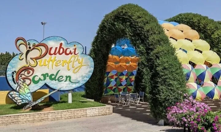 Dubai Butterfly Garden Entry Ticket