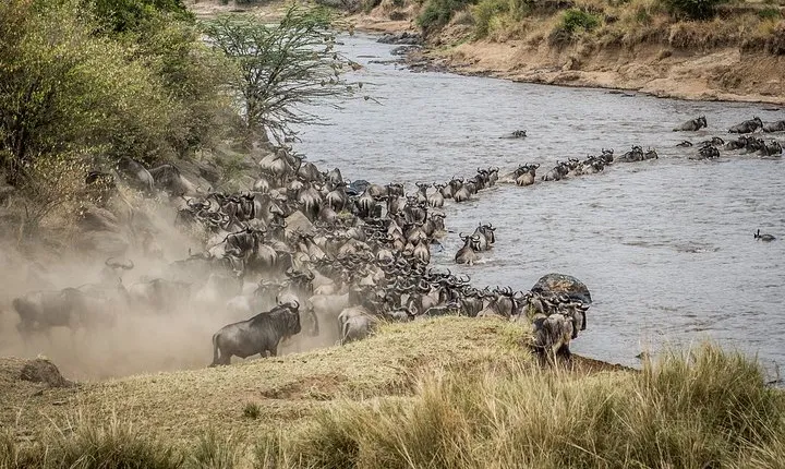 10-Day Private Safari in Tanzania