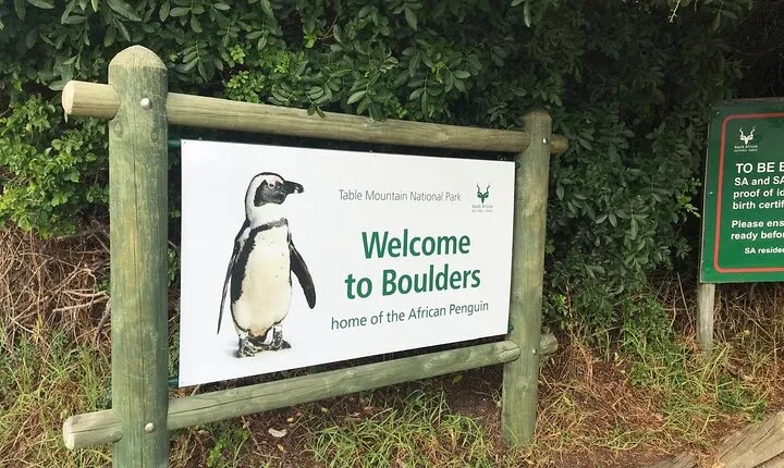 Cape Of Good Hope and Boulders Beach Penguins Private day Tour