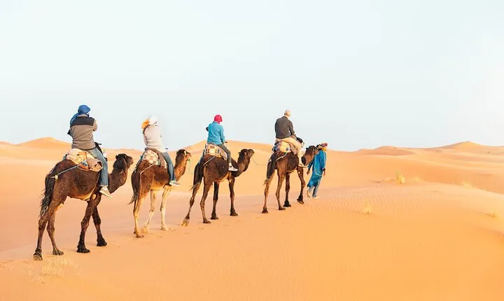 Luxury Sahara Desert Tour from Marrakech : 4-Day to Fes