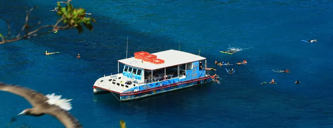 Fernando de Noronha cruise