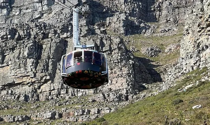 Halfday Tour on Table Mountain