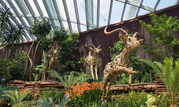 Flower Dome and Cloud Forest in Garden by the bay Singapore