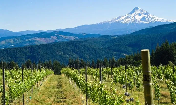 Mt. Hood Loop Tour from Portland