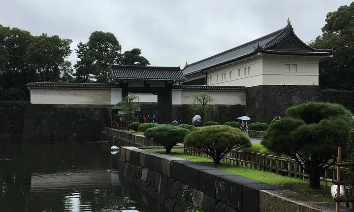 Cherry blossom tour in Tokyo