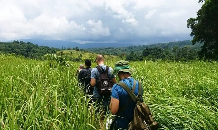 Bangkok: Khao Yai Nature Trails & Heaw Suwat Waterfall
