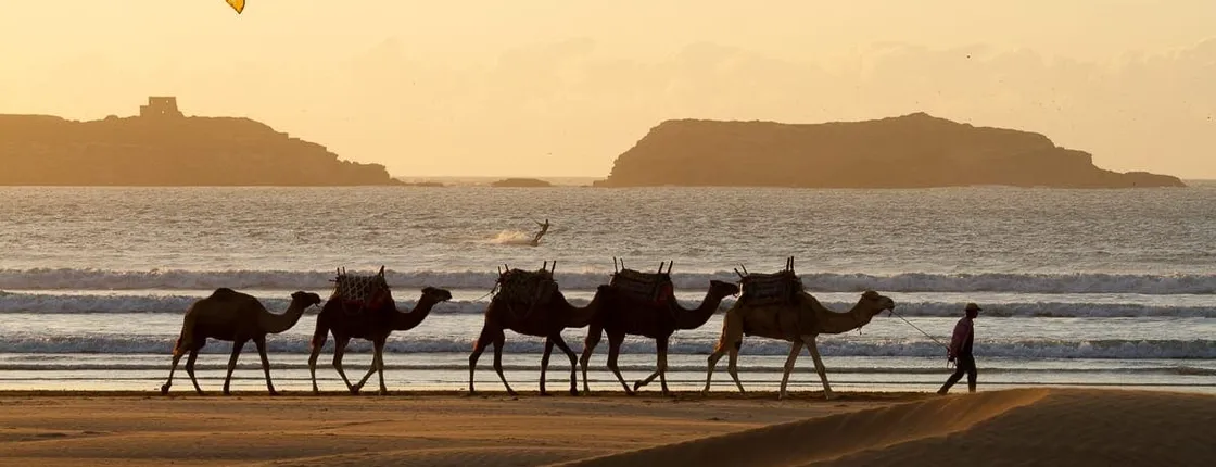 Private day trip to Essaouira from Marrakech