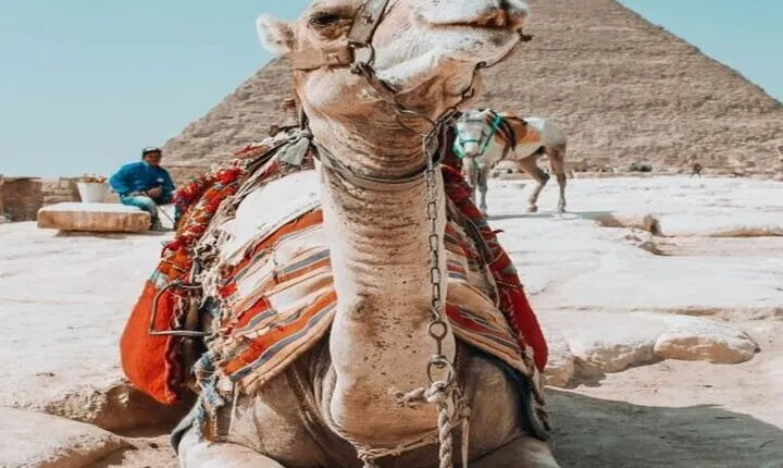 Discover the Treasures of Cairo: Small Group Tour from Hurghada