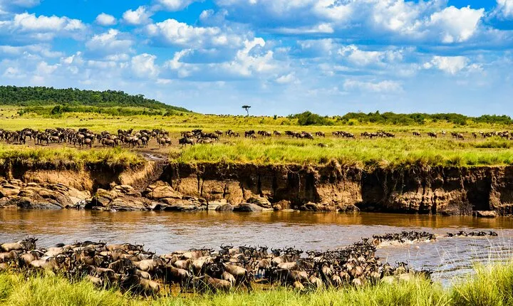 3 Days 2 Nights Serengeti and Ngorongoro Conservation Safari