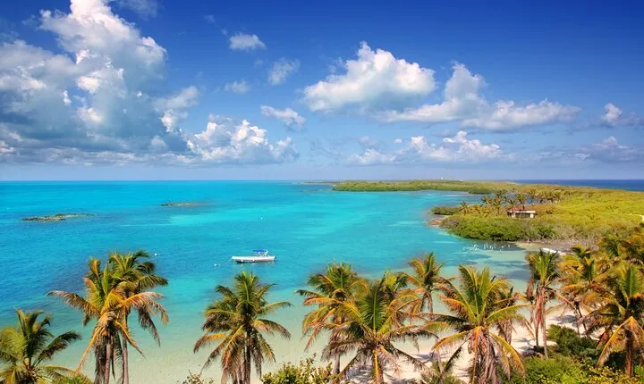 Full Day Nature Expedition to Contoy Island and Isla Mujeres