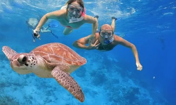 Snorkeling at Mahmya Island from Hurghada