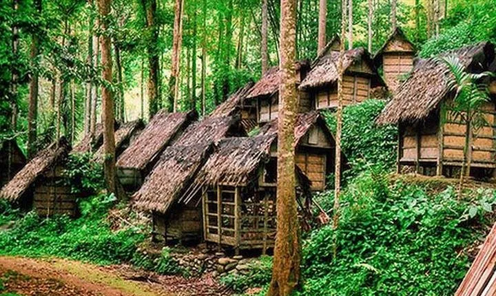 Private Tour Baduy Village