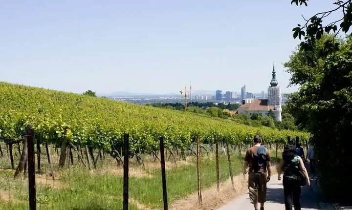 Private Day Trip to The Village of Grinzing from Vienna with a local
