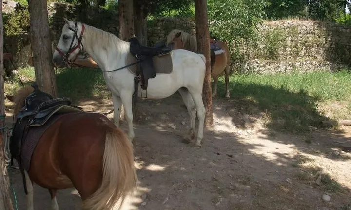 Ancient Roman Horseback Riding Experience
