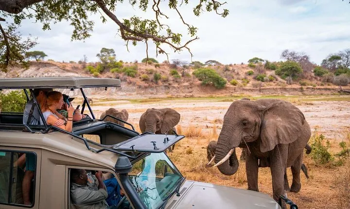 4 Days Adventure Camp Safari toTarangire Serengeti and Ngorongoro