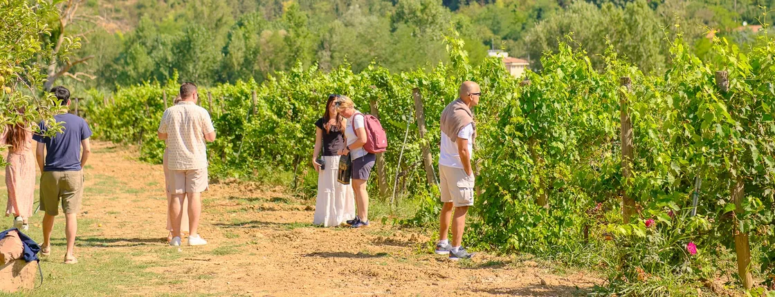 Full day private tour to Chianti wine region from Florence