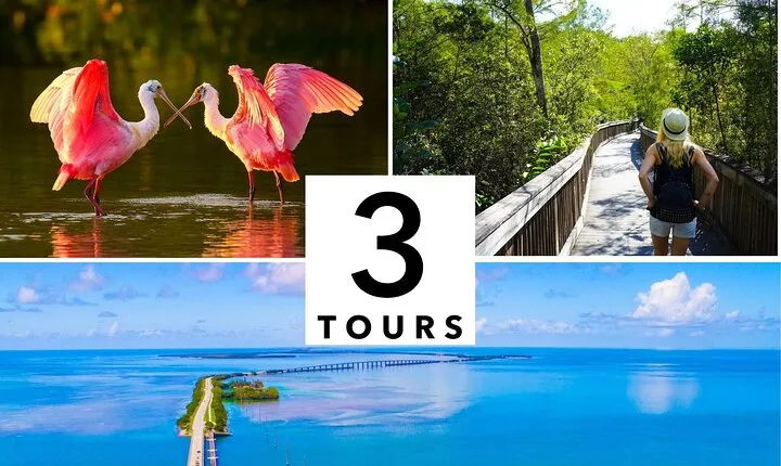 Florida Audio Tour Bundle 3 Self-Guided Sightseeing Tours