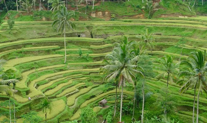 Bali Benoa Shore Excursion for cruise's passenger - All Inclusive