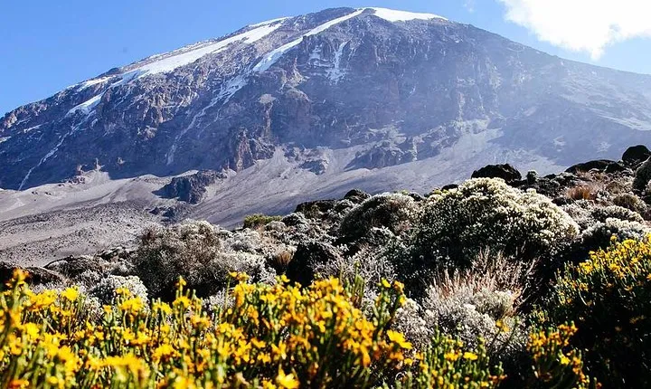5 Days Marangu Route - Mount Kilimanjaro Trek