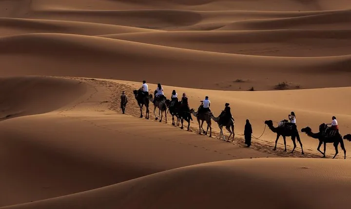 Morning Desert Safari with Dune Bashing and Sand Boarding