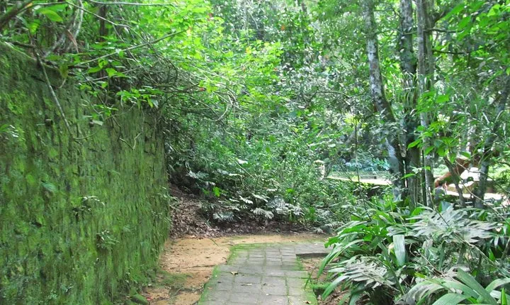 Rio de Janeiro: Jeep Tour to Tijuca Forest