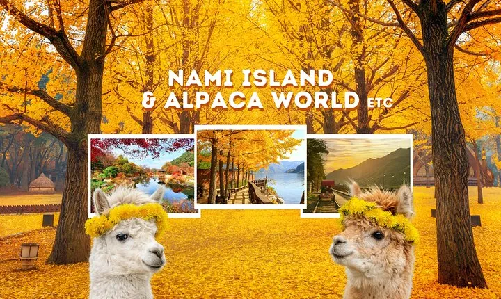 Alpaca World Tour with Nami Island (optional Railbike or Garden)