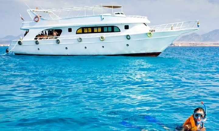 Marsa Mubarak Unforgettable Snorkeling Trip & Lunch – Marsa Alam