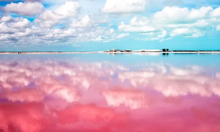 Las Coloradas Exploring Tour