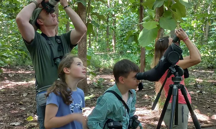 Guided tour in Carara National Park