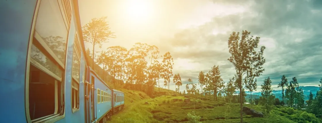 01 Week Tour In Sri Lanka