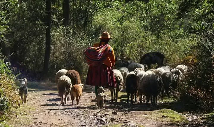 Lares Trek Private Service