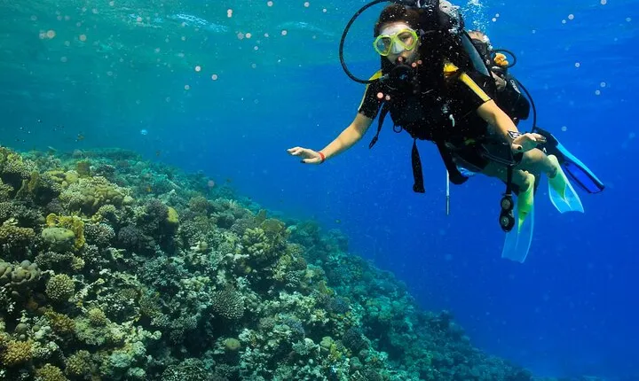 Tiran Island Snorkel , Dive & Lunch Sea Trip - Sharm El Sheikh