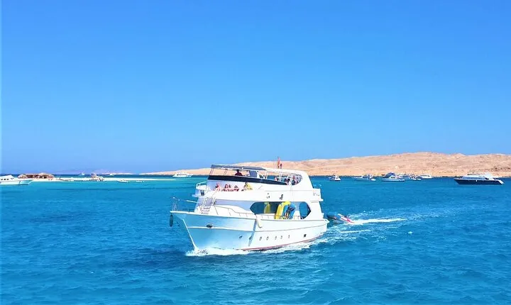 Dolphin House: Swim with Dolphins in Hurghada 