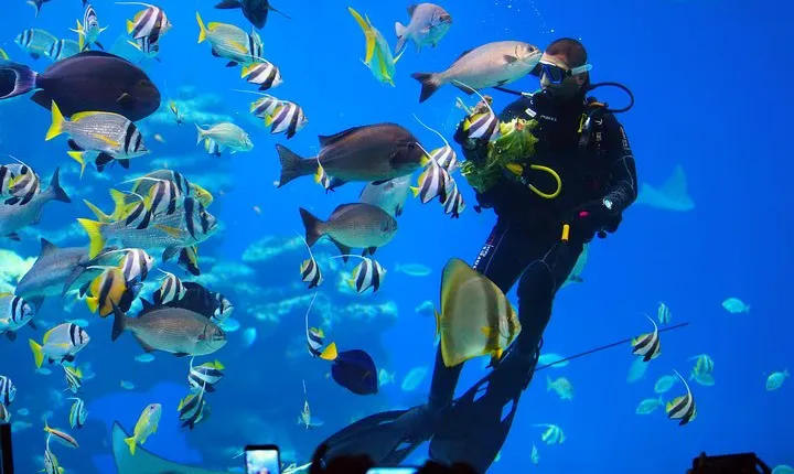 Aqua Star Diving
