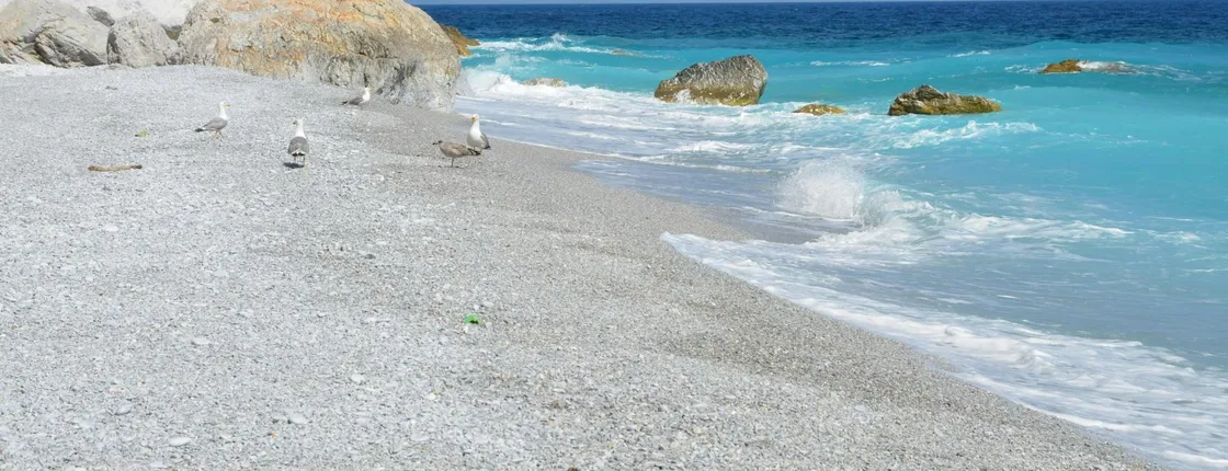Skiathos sea and sun cruise