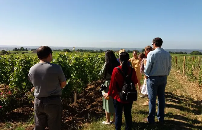 Wine Tour in Medoc with coffee break