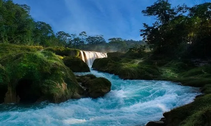 Full day tour in "Causas Verdes las Nubes"