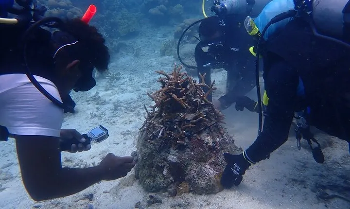 Nature and Ecosystem Restoration Tour in Rosario Islands
