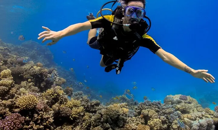 2 Dive Stops Intro Scuba Diving With Lunch & Transfer - Hurghada