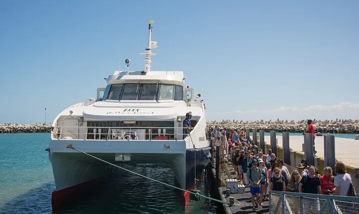 Full-Day Private Robben Island, Penguins & Cape of Good Hope Tour