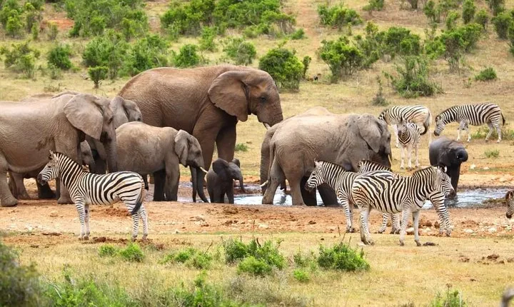 2-day Private Garden Route Tour from Cape Town 